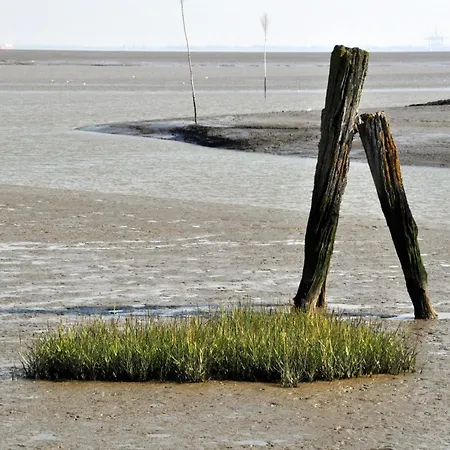 Nordsee, Deichlaeufer 3* Tossens