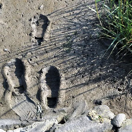 Strand Nordsee, Deichläufer 3*